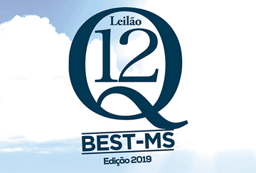 LEILÃO Q12 - BEST MS
